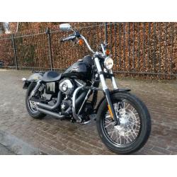 Harley Street Bob