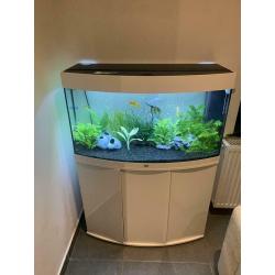 Aquarium juwel vision 180