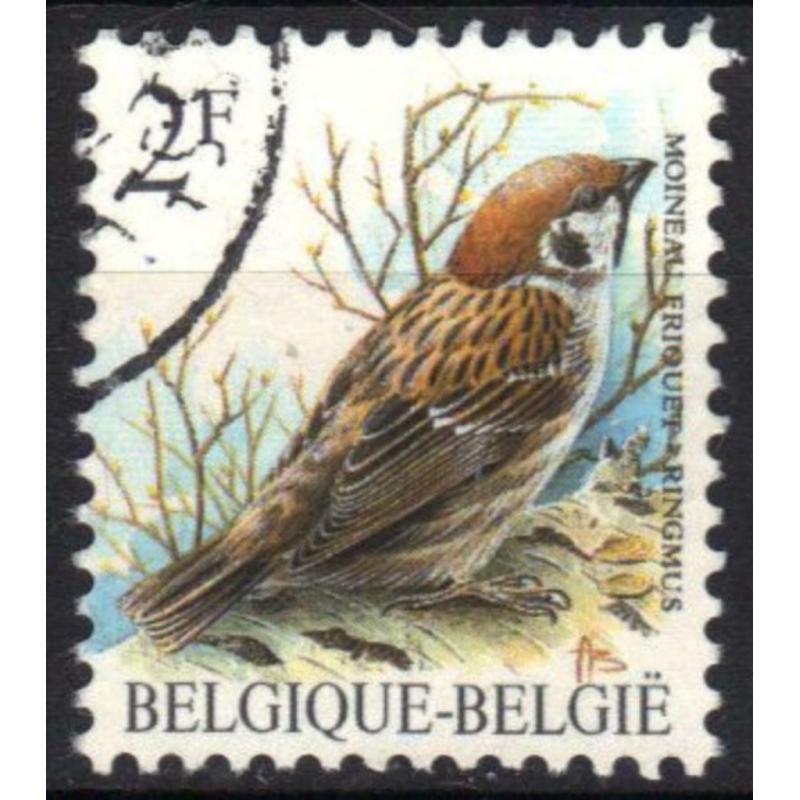 Belgie 1989 - Yvert 2348/OBP 2347 - Buzin - Ringmus (ST)