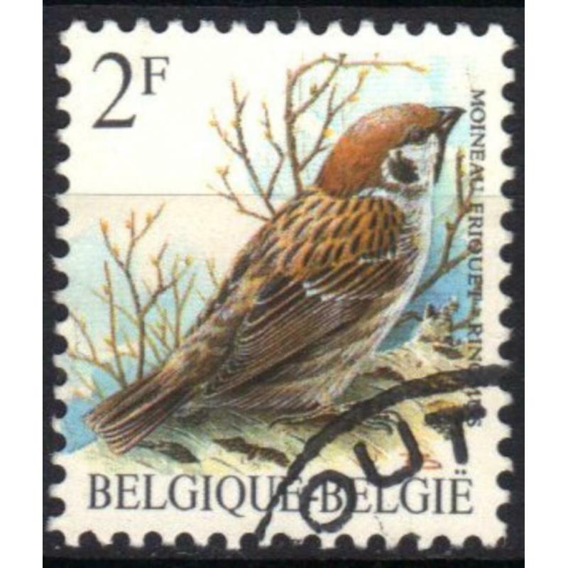 Belgie 1989 - Yvert 2348/OBP 2347 - Buzin - Ringmus (ST)