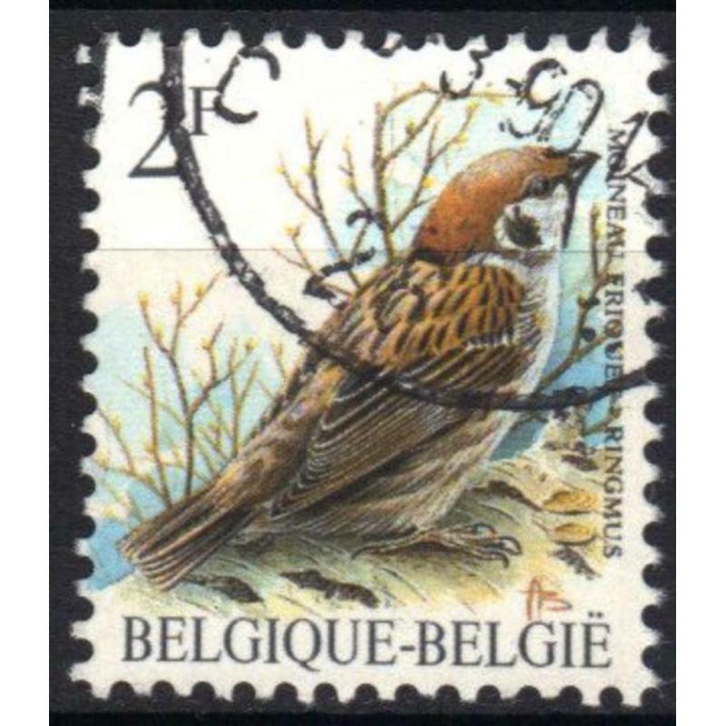 Belgie 1989 - Yvert 2348/OBP 2347 - Buzin - Ringmus (ST)