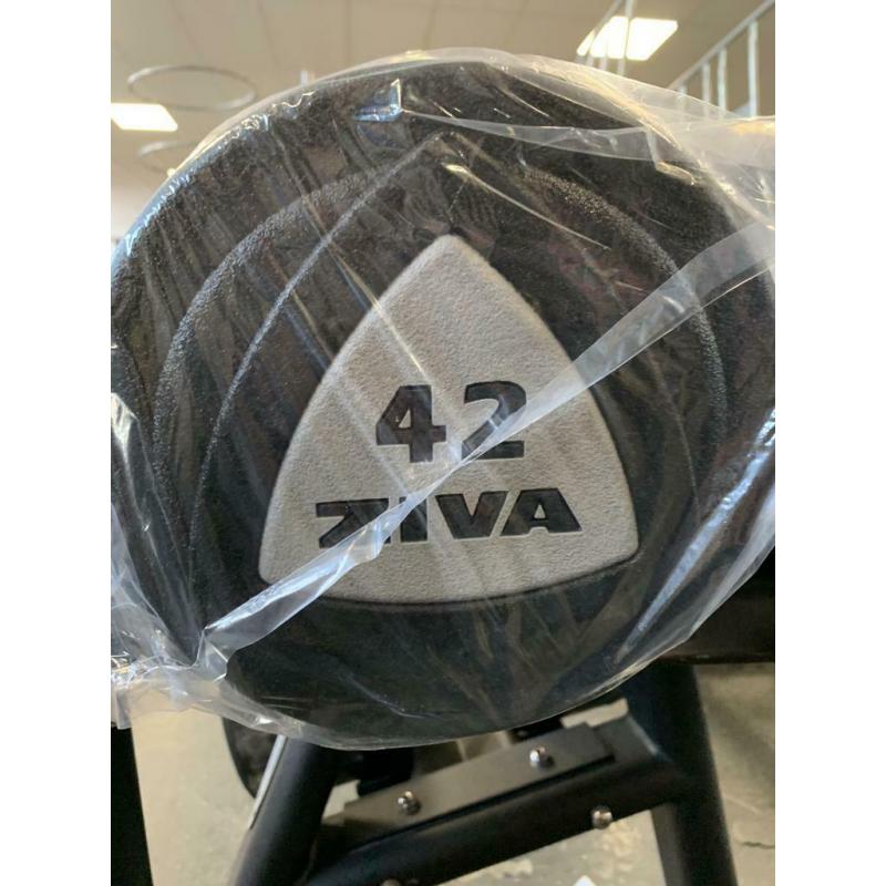 Nouveau Ziva Dumbellset 42-50KG