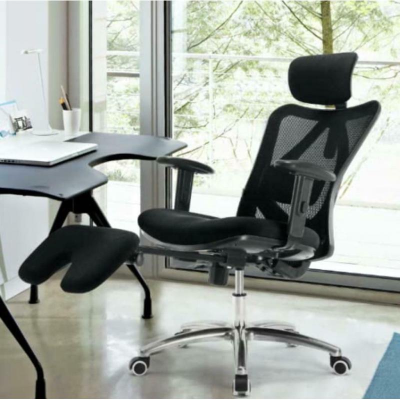 Chaise de bureau ergonomique / Office chair